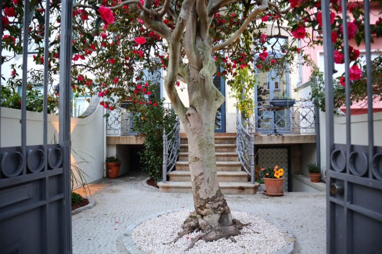 alt - Foto da entrada da Vila Camélia, um restaurante de cozinha francesa no Porto com vista para o Camélia, repleto de flores